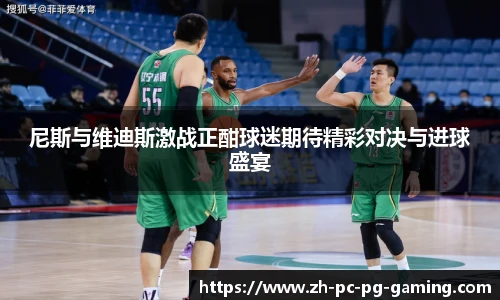 尼斯与维迪斯激战正酣球迷期待精彩对决与进球盛宴